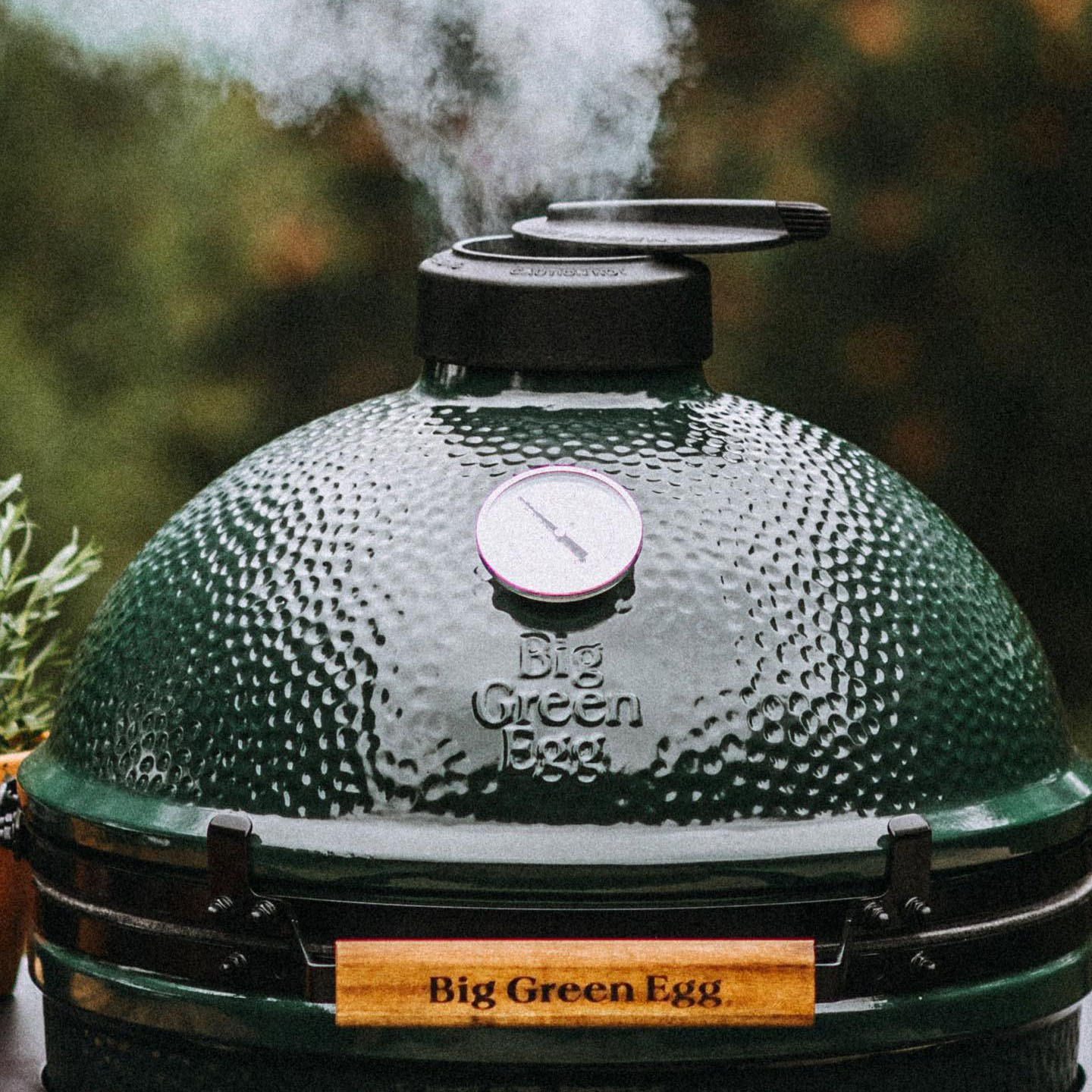 big green egg festival and celebration smoker