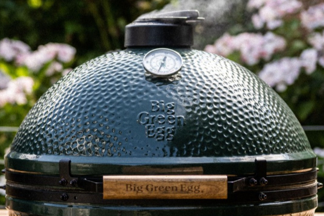 discounted sale big green egg demo