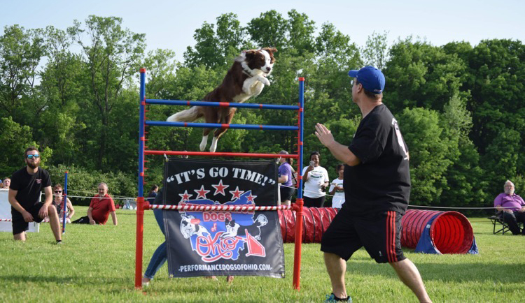 performance dogs of ohio dog show at the ohio eggfest