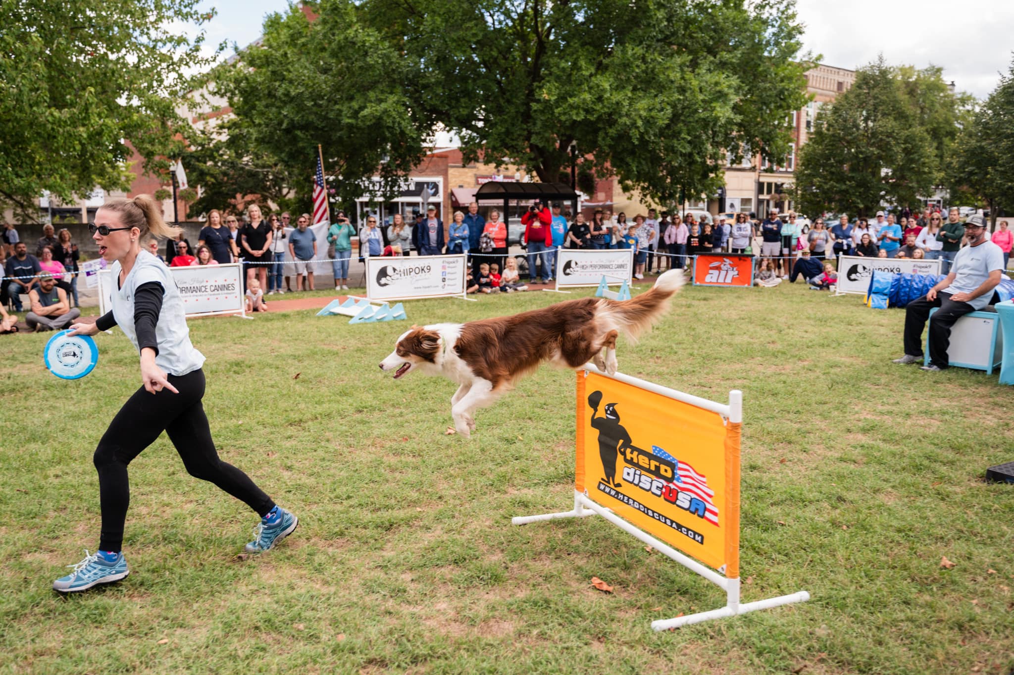 performance dogs of ohio dog show at the ohio eggfest